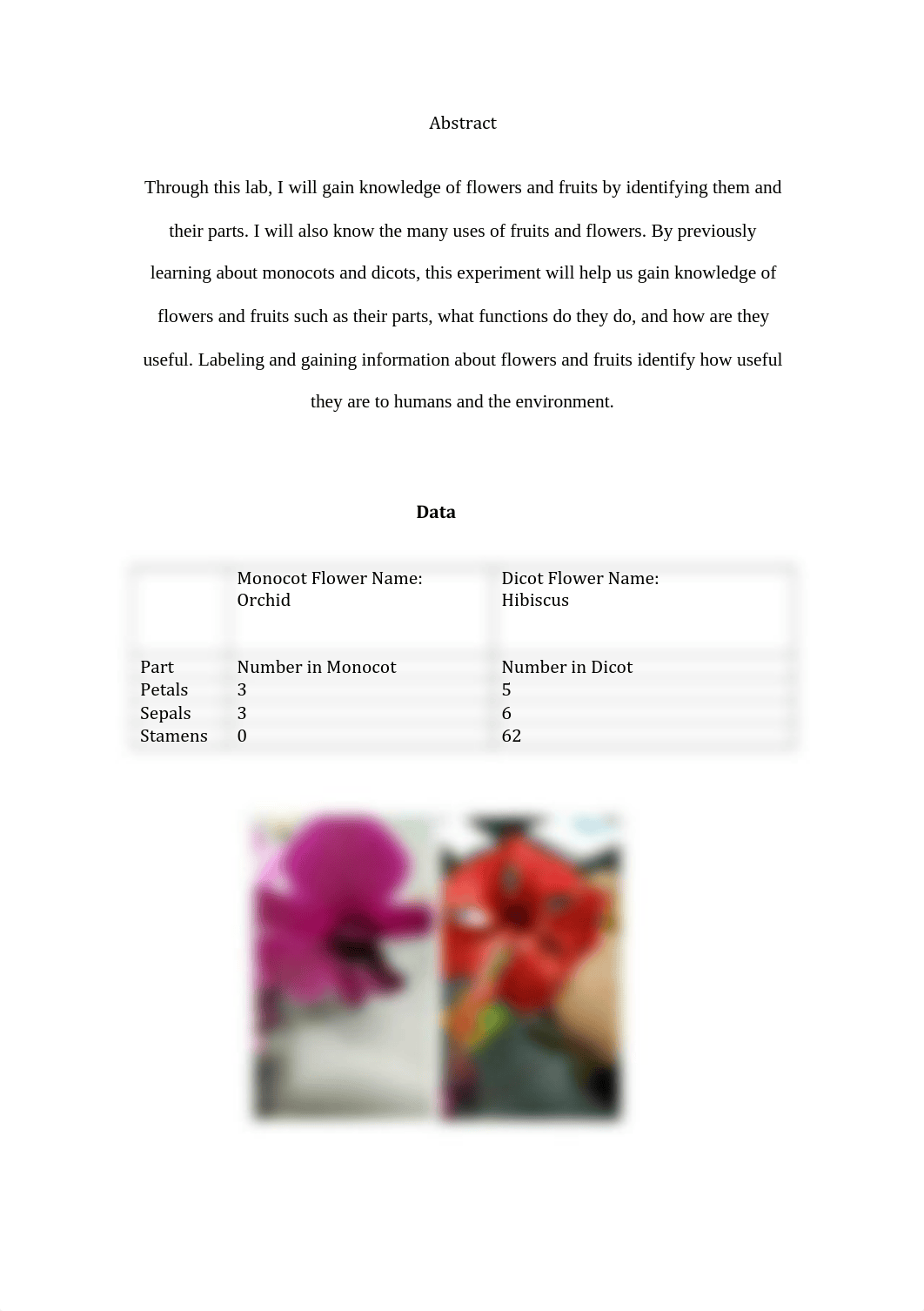 Lab 6_dyjzmy8vhmm_page2