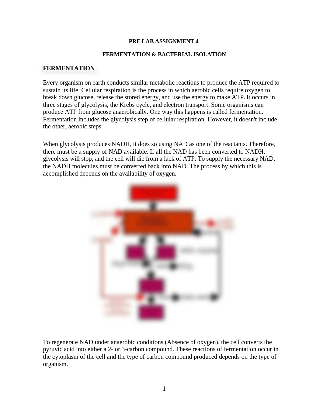 PRE LAB ASSIGNMENT 4 - Fermentation & Bacterial Isolation.docx_dyk2w5mvvy1_page1