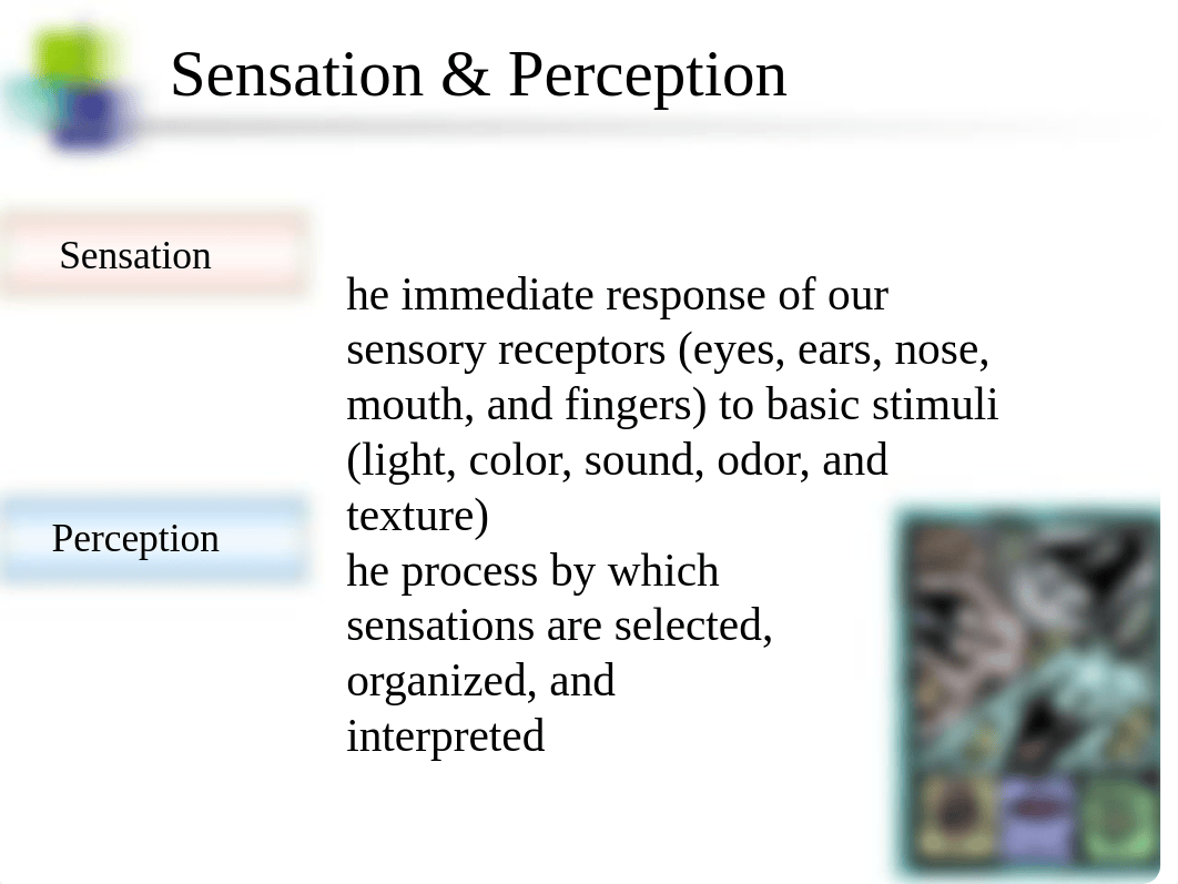 Lecture 2 Perceptions and Attitudes_dyk3bn0pxzy_page2