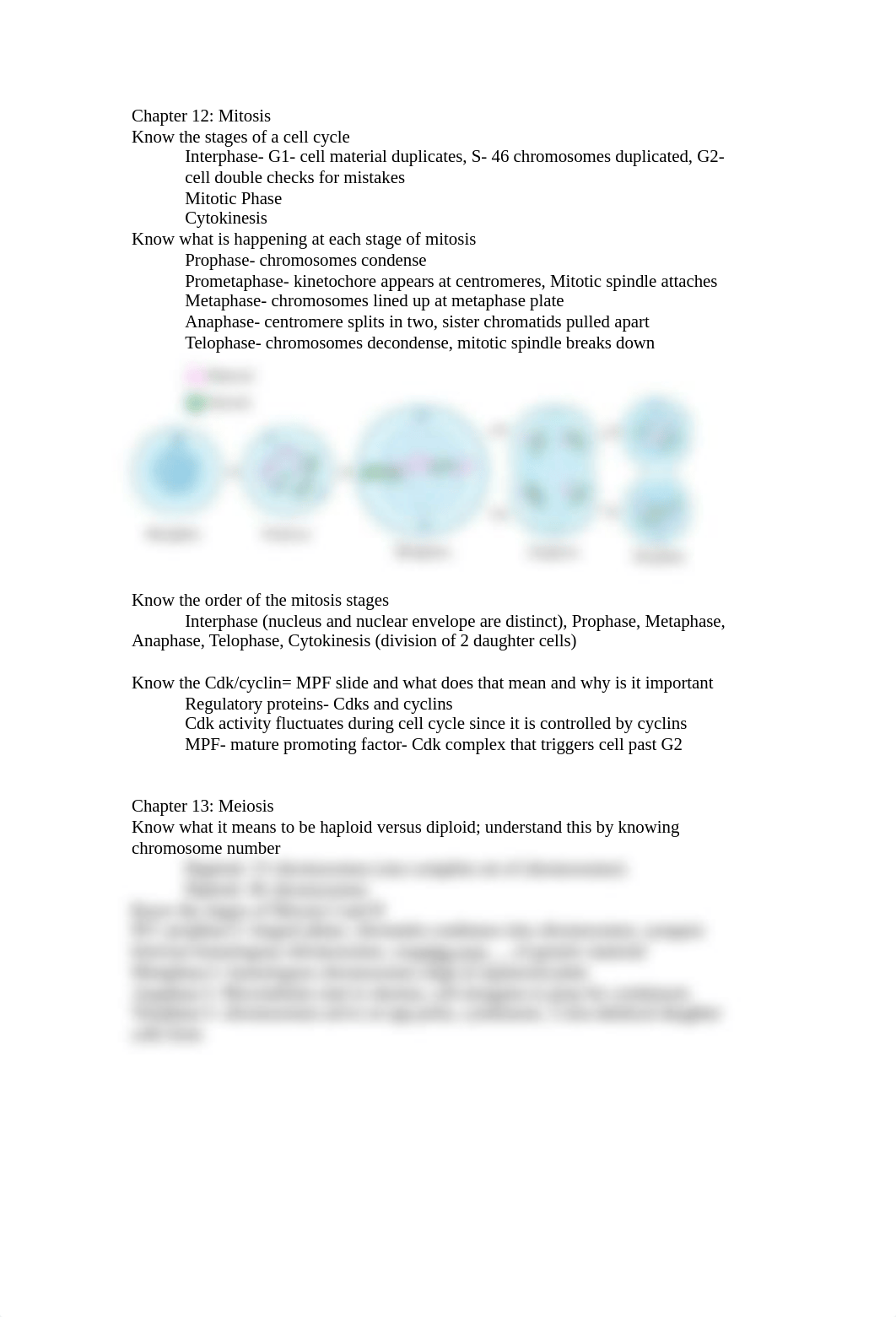 Bio II Study Guide for Exam 1.docx_dykbcqybkgl_page1