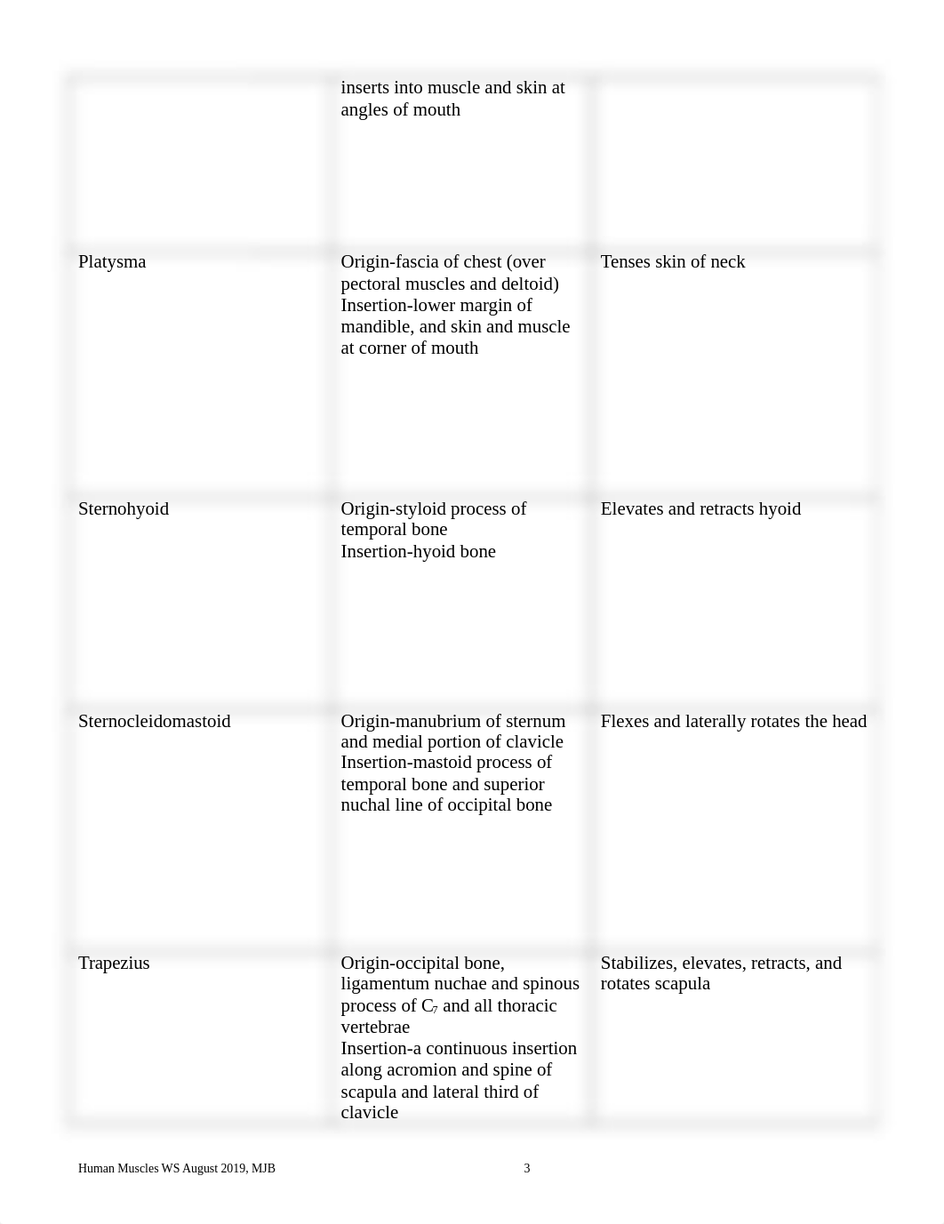 Muscle Chart.doc_dykefbufhf7_page3