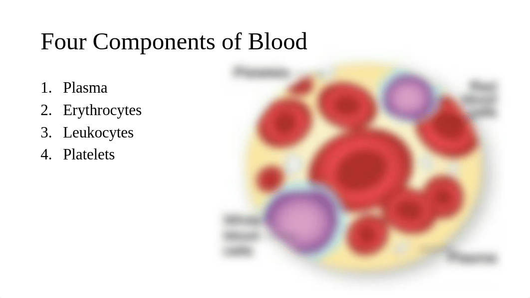 Blood Typing Materials and Lab Instructions.pdf_dykfjb0olc1_page2