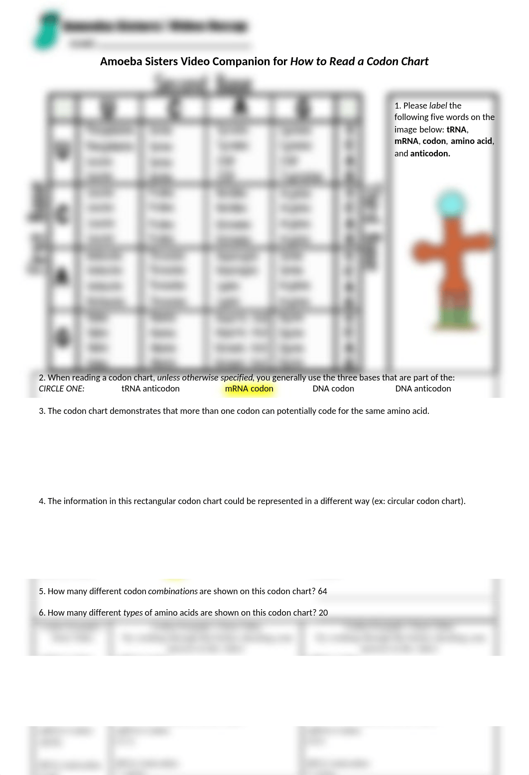codon_chart_video_companion_by_amoeba_sisters.docx_dykgjoafkx3_page1