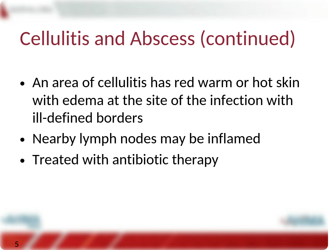 Ch15 Diseases of Skin and Subcutaneous Tissue.pptx_dyki0y5ah72_page5