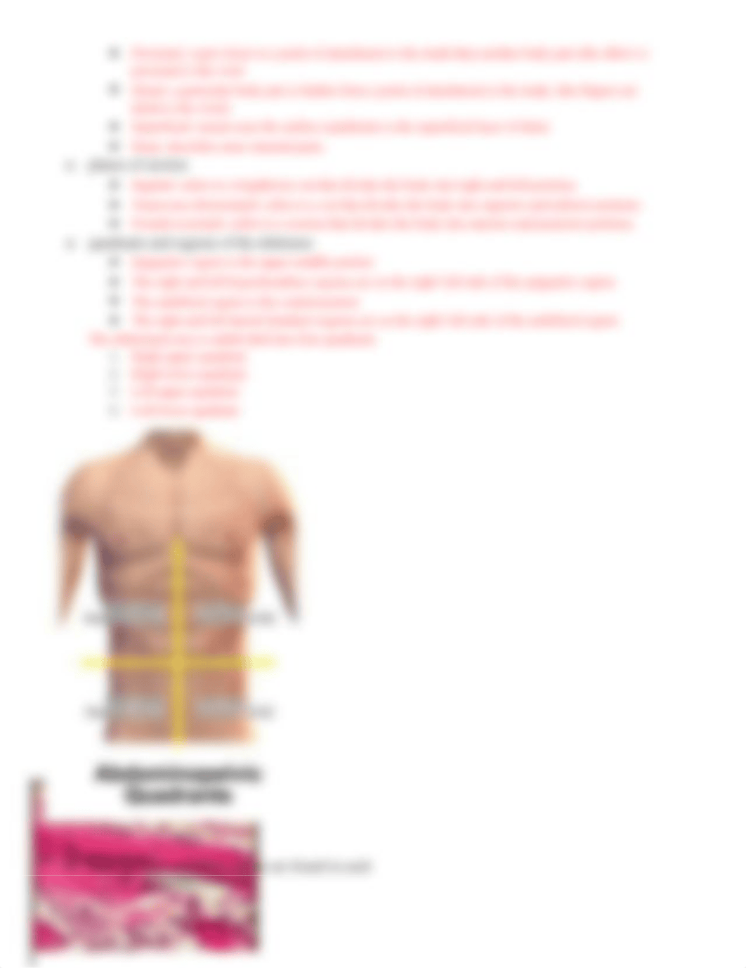 Lab Practical 1 notes.docx_dykmbrst88s_page2