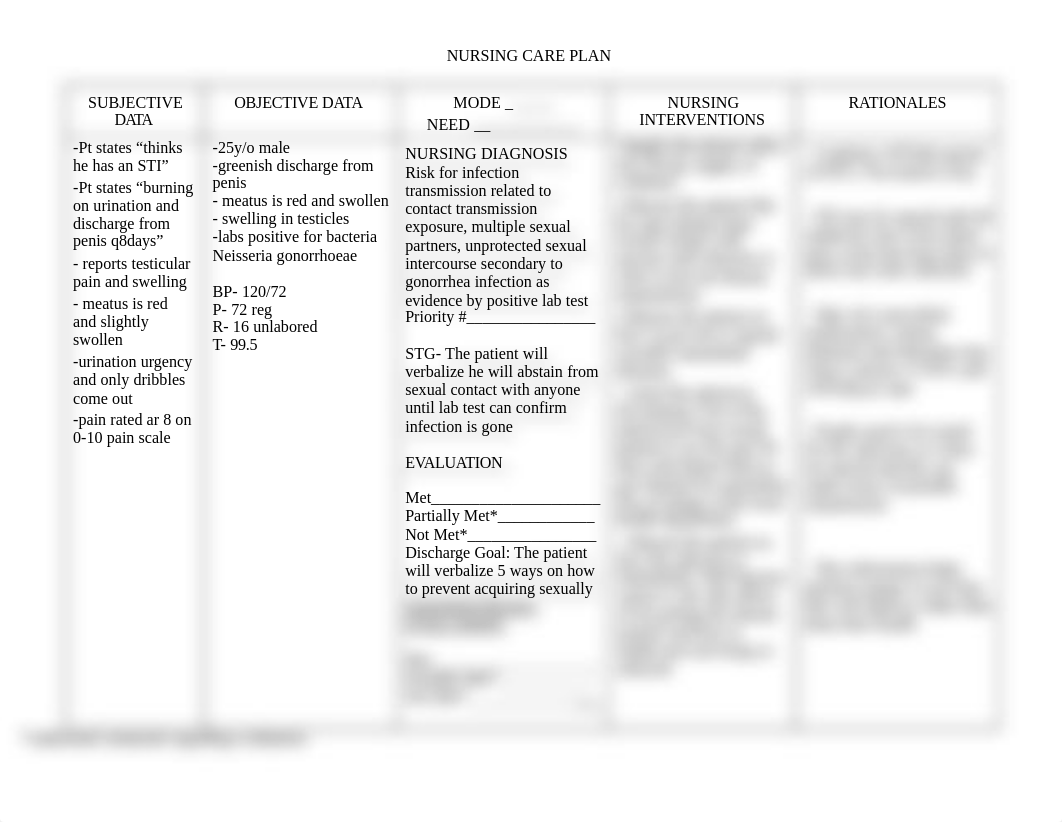 Care plan STI.doc_dyksgscwtj9_page1