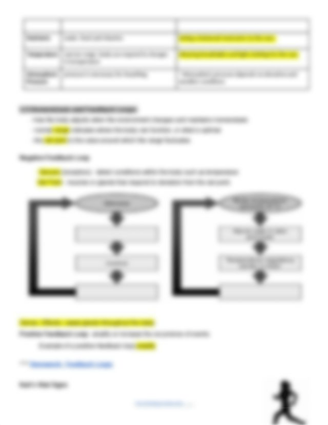 chapter 1 intro to human anatomy notes.docx_dykvpgmqlca_page2