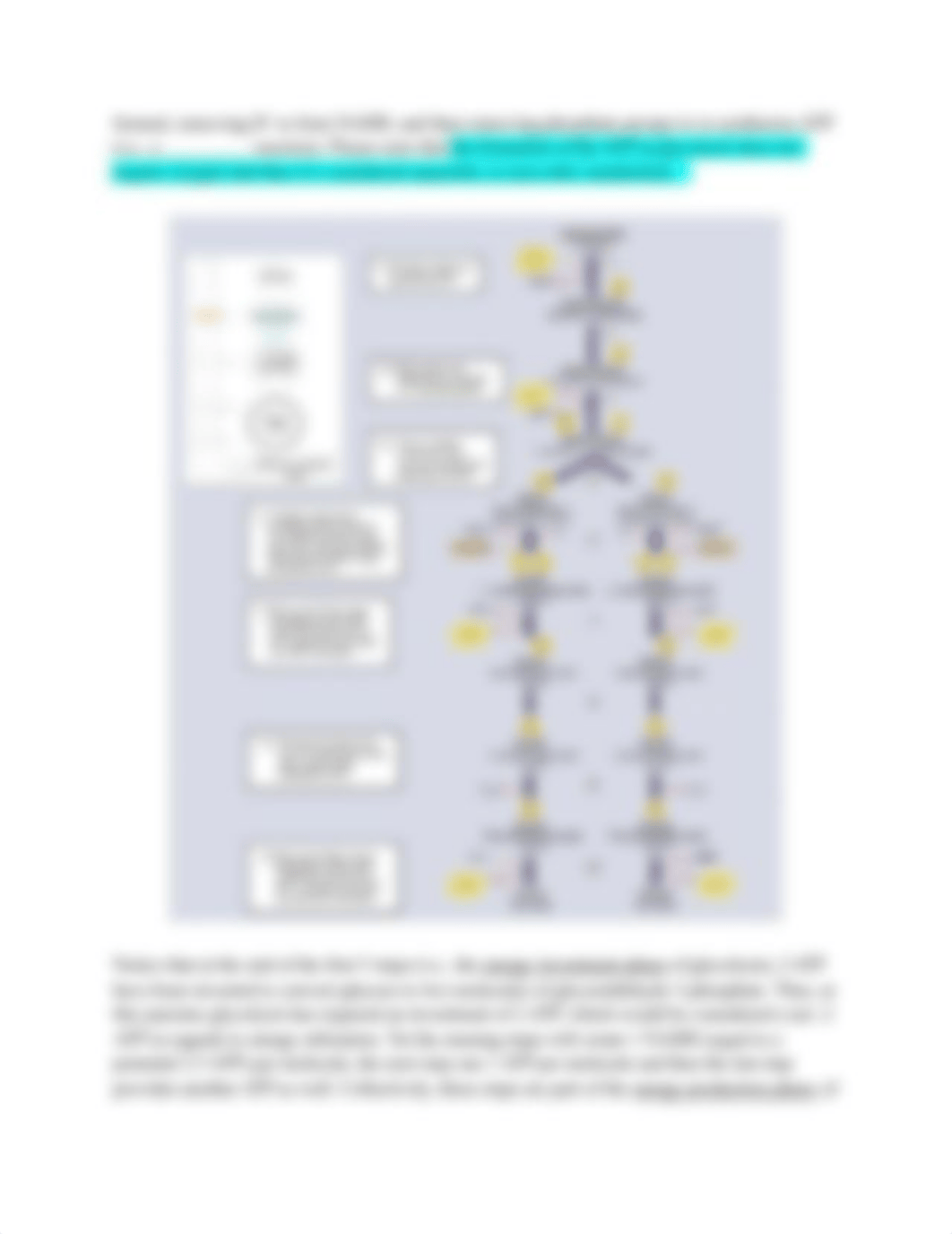 KINE 380 - How Does The Body Produce Energy (1).docx_dykysvqugcf_page3