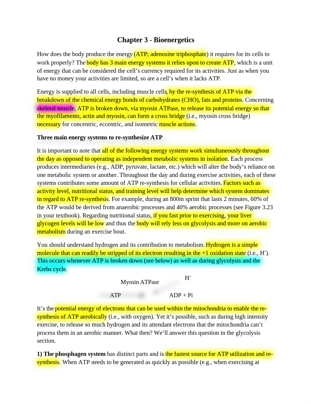 KINE 380 - How Does The Body Produce Energy (1).docx_dykysvqugcf_page1