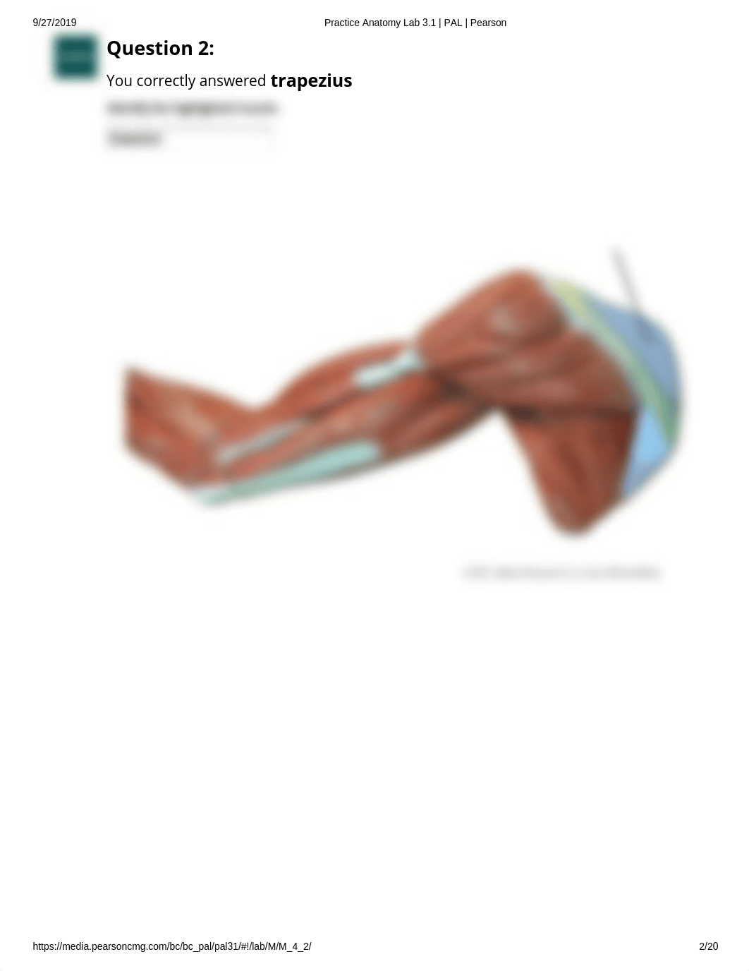 Pal Lab Practical Upper Limb anatomical models.pdf_dylc86w7ron_page2