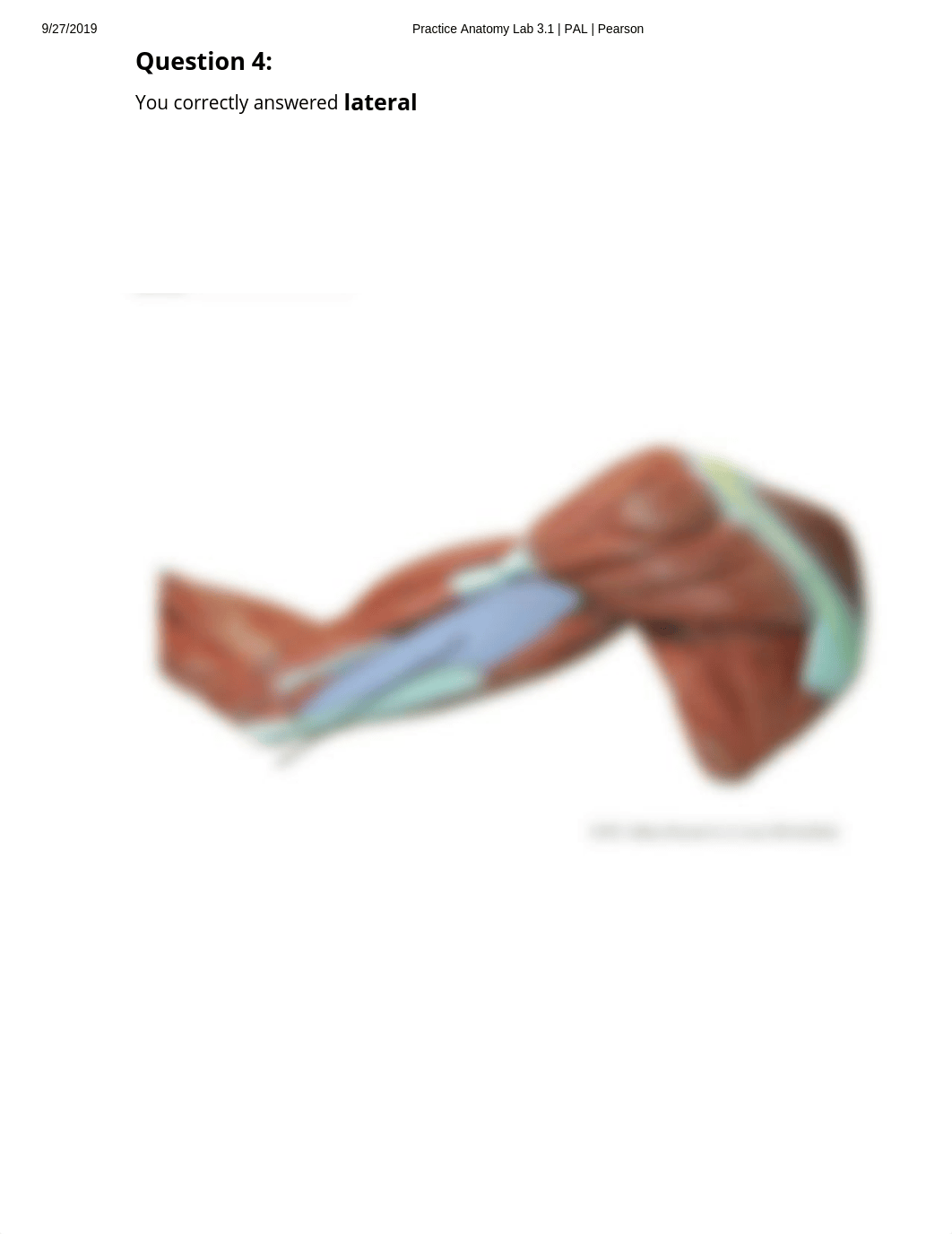 Pal Lab Practical Upper Limb anatomical models.pdf_dylc86w7ron_page4