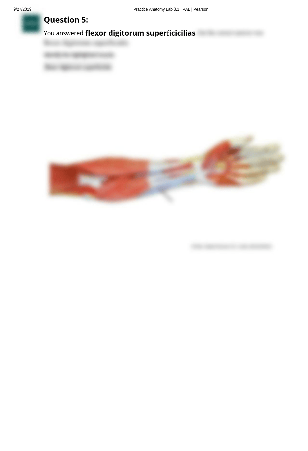 Pal Lab Practical Upper Limb anatomical models.pdf_dylc86w7ron_page5