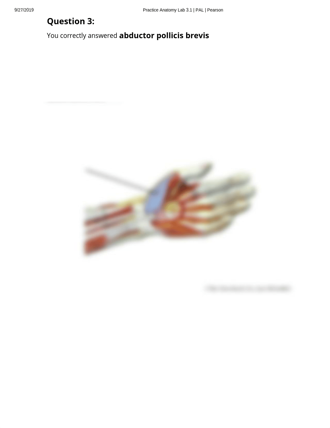 Pal Lab Practical Upper Limb anatomical models.pdf_dylc86w7ron_page3