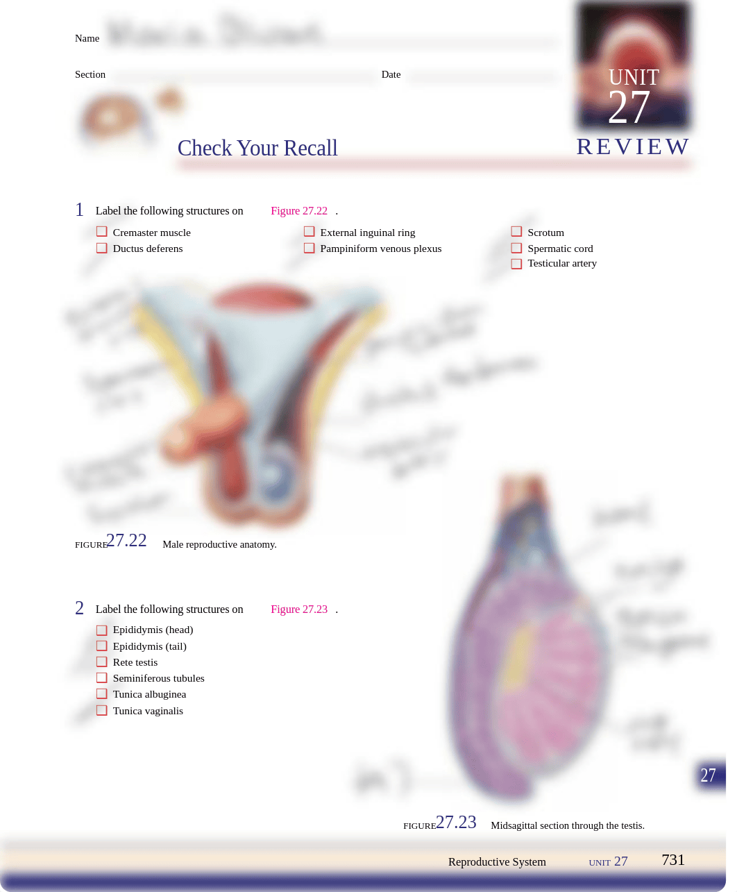 Unit 27.pdf_dyljgt5qpni_page1