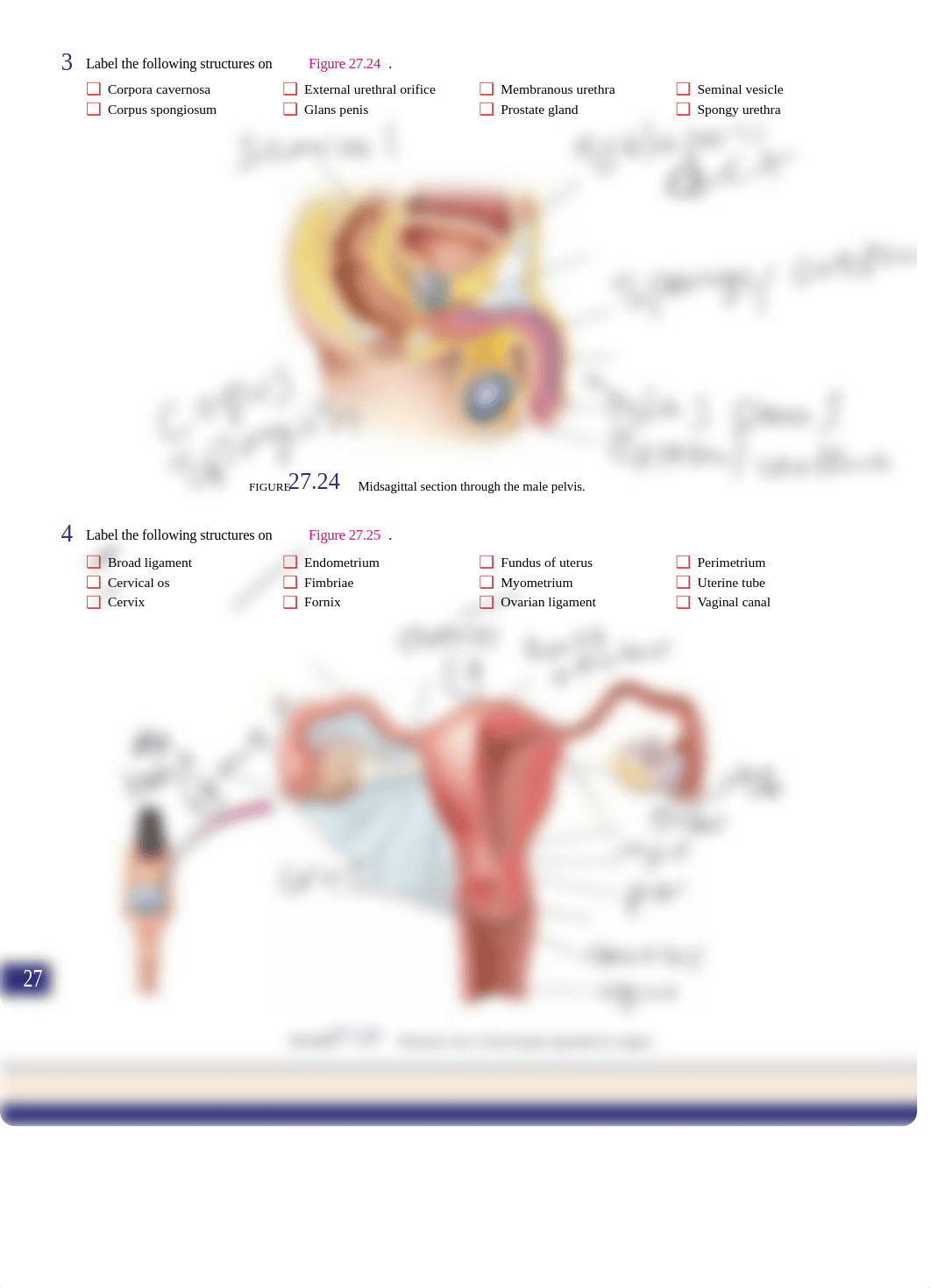 Unit 27.pdf_dyljgt5qpni_page2