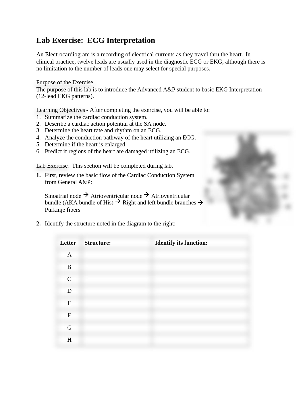 11 - ECG Interpretation (3).docx_dyln7bqn6yd_page1