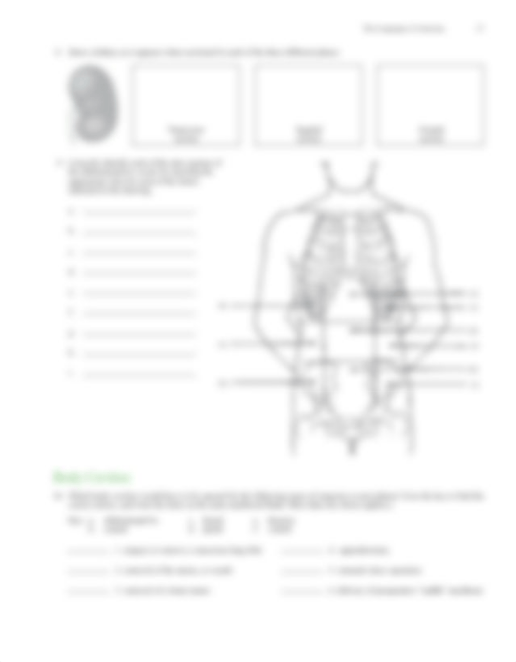 Lab 1 -The Language of Anatomy.pdf_dylnfxwtx4c_page3