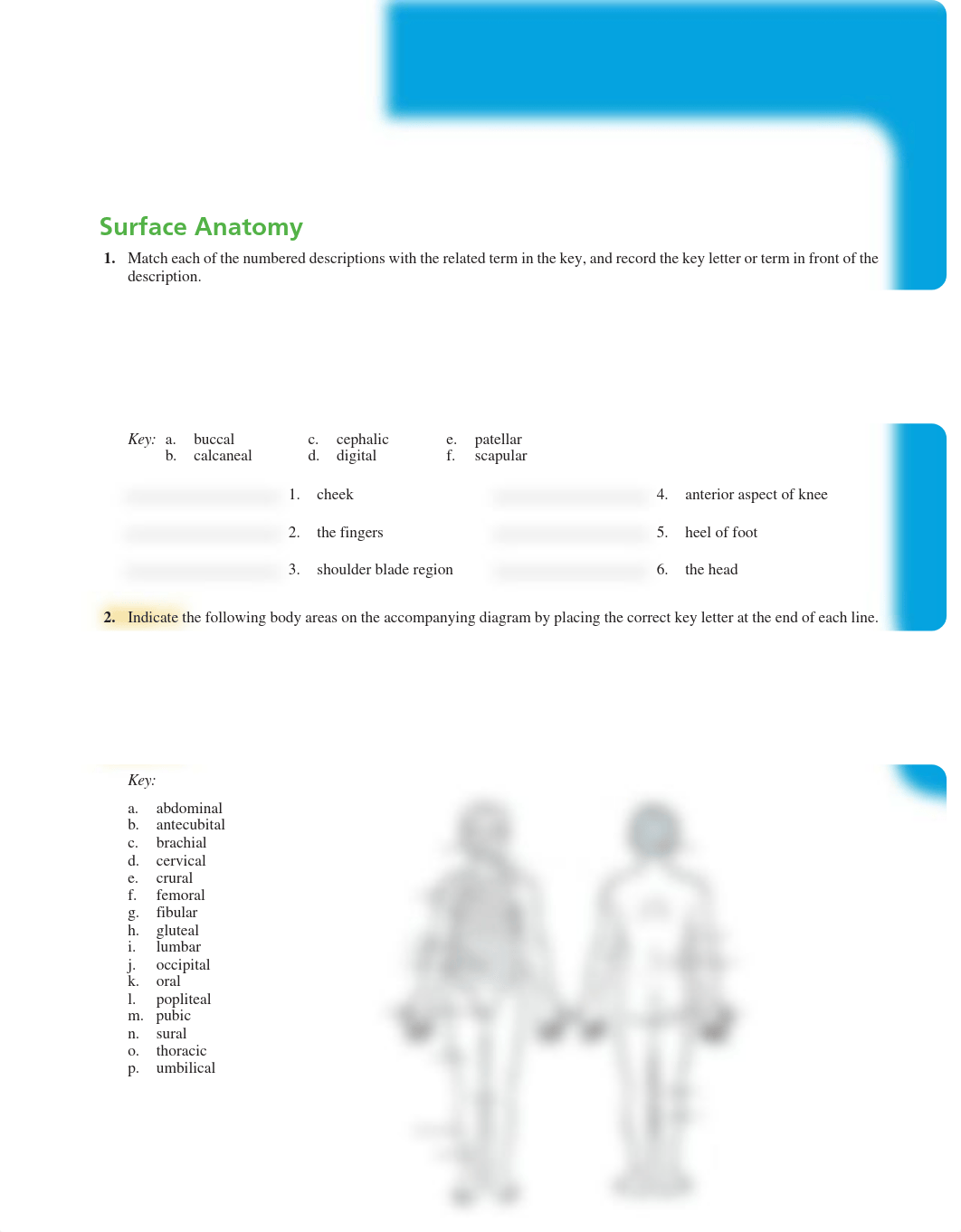 Lab 1 -The Language of Anatomy.pdf_dylnfxwtx4c_page1