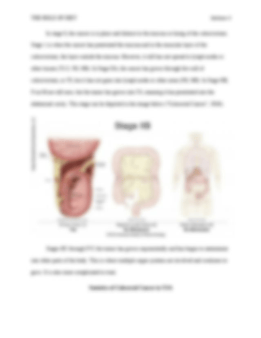 diets and colon cancer.docx_dylt2pqxjpq_page4