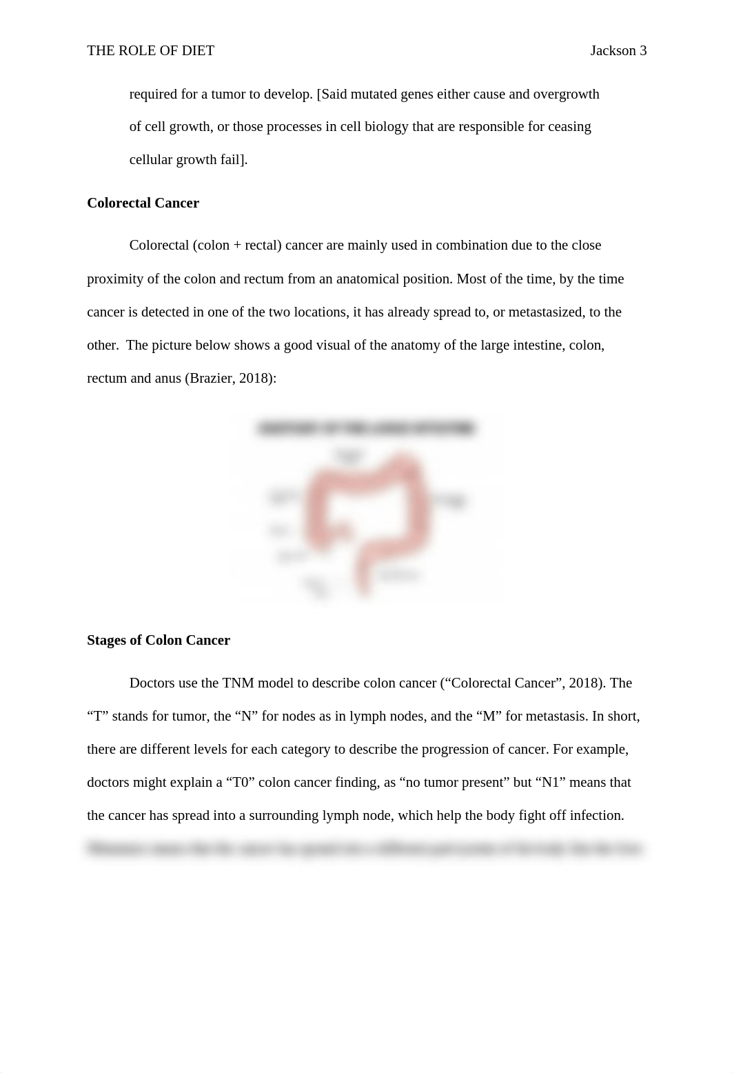 diets and colon cancer.docx_dylt2pqxjpq_page3