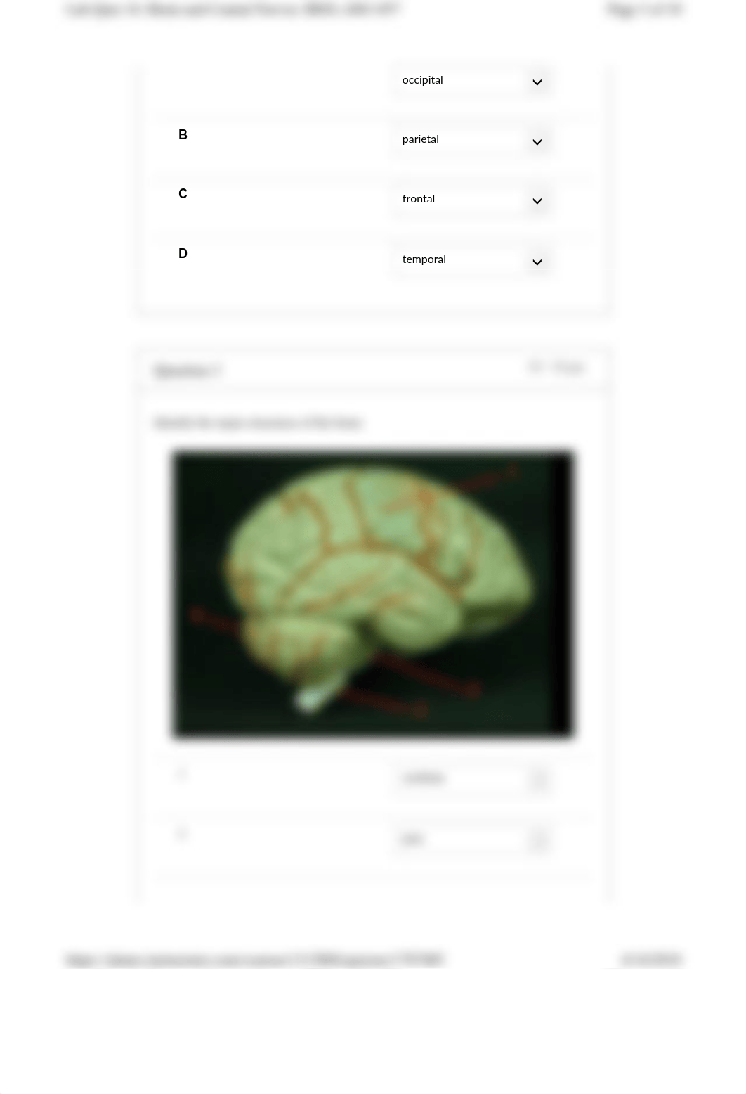 lab quiz 16.pdf_dylxcfylqrj_page3