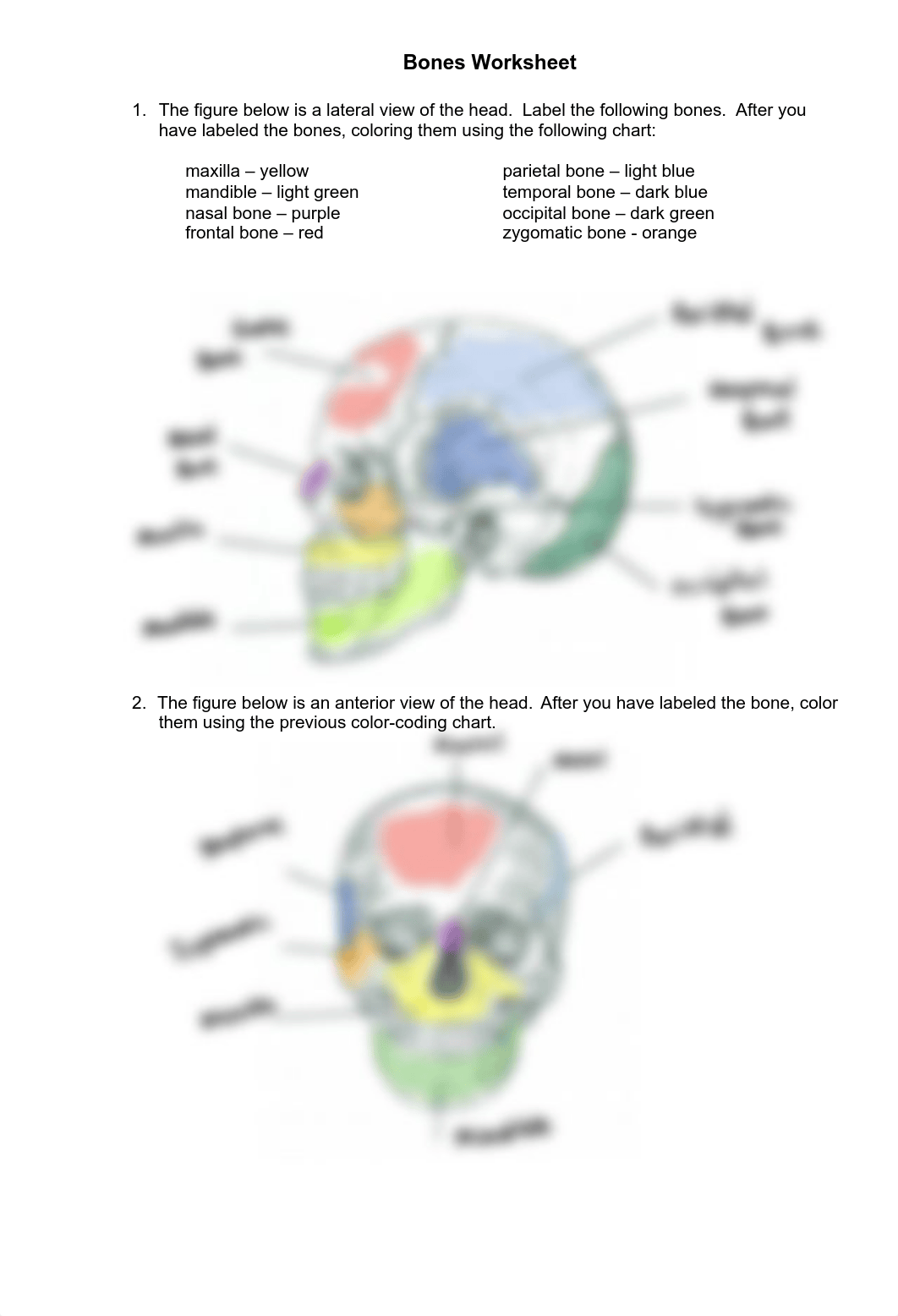 Bones+Worksheet.pdf_dylzl68mgxt_page1