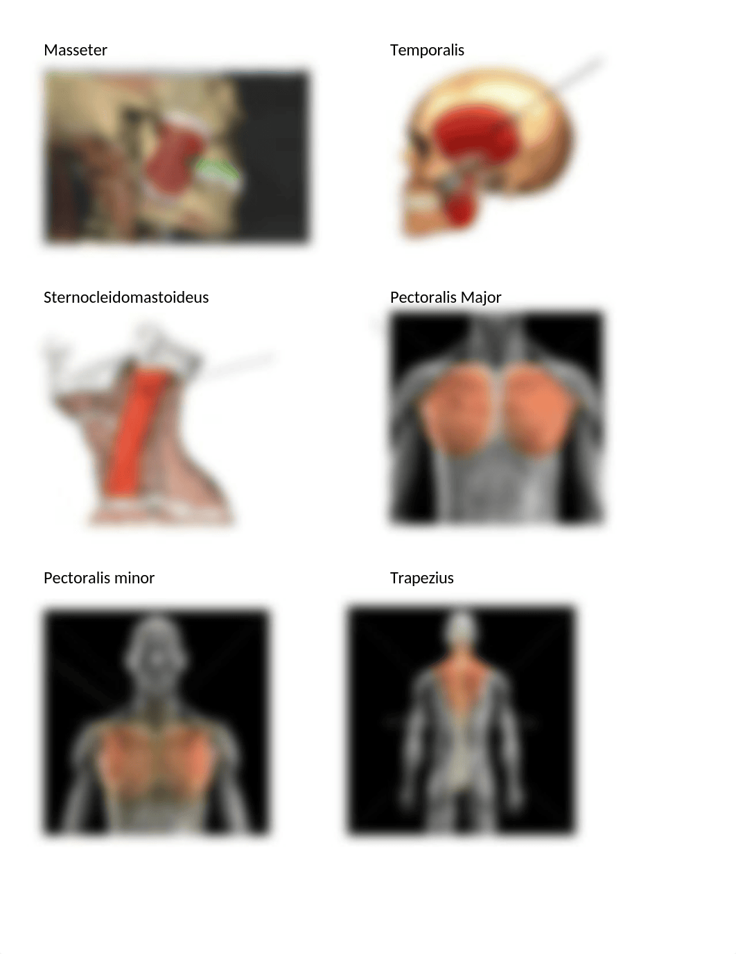 Test 2 lab.docx_dym5r0p5cds_page1