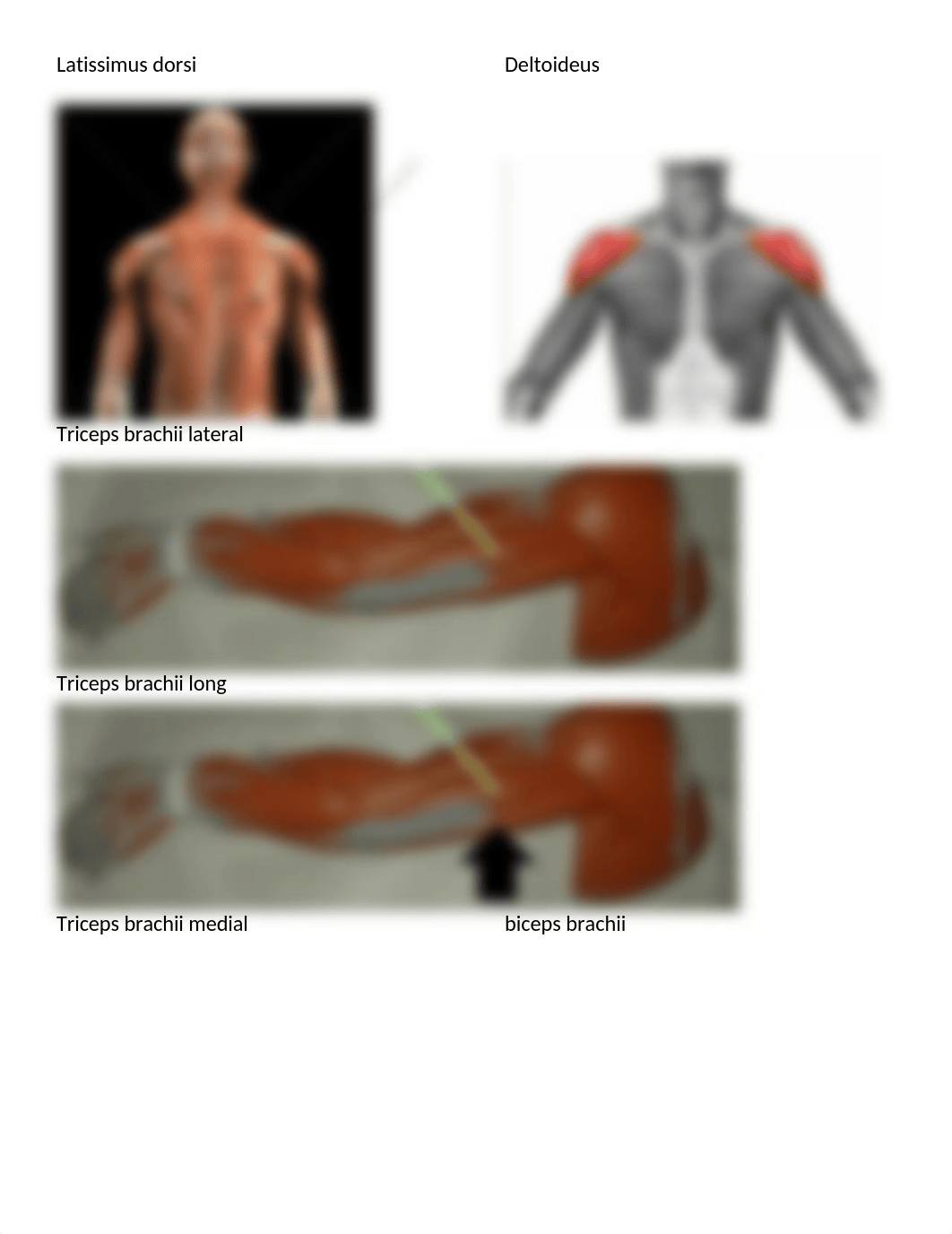 Test 2 lab.docx_dym5r0p5cds_page2