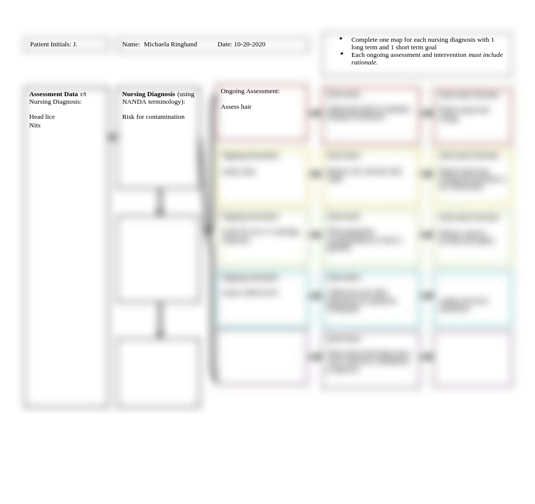 LICE care map.docx_dym687mg85u_page1