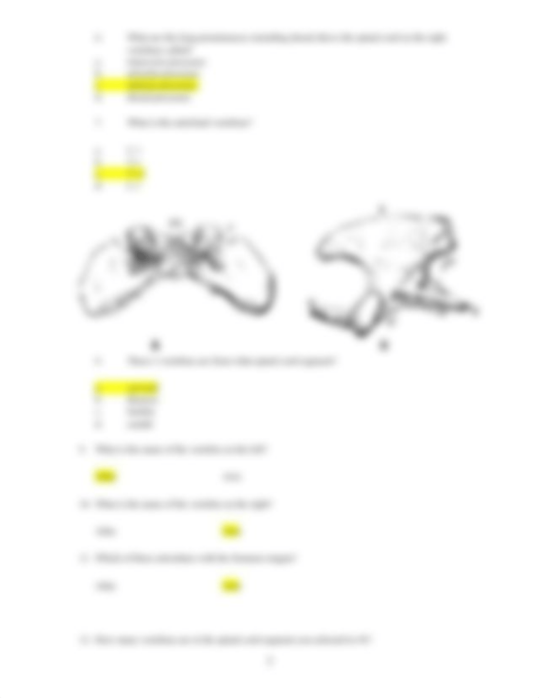 ASSN 3.1 Identifying Bone and Associated Structures finished.docx_dymjdk684yk_page3