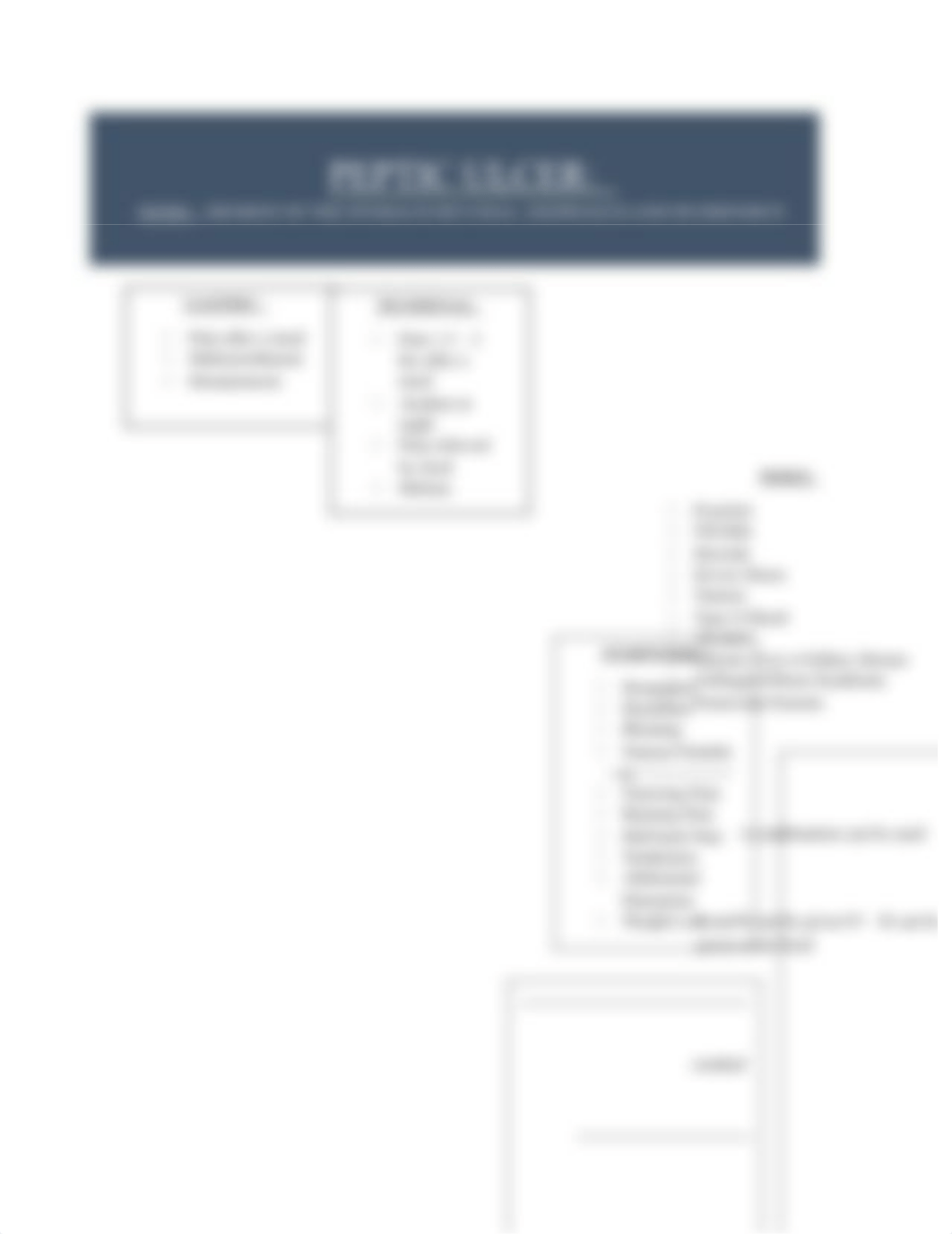 PEPTIC ULCER CONCEPT MAP.docx_dymmh7iltpv_page1