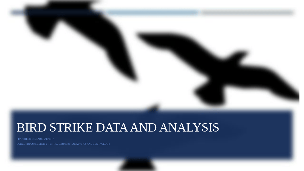 Bird Strike Visualizations .pptx_dyn1odd1boa_page1