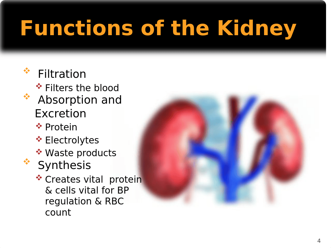 Chronic Kidney Disease w-NOTES.pptx_dynjzrblhpb_page4