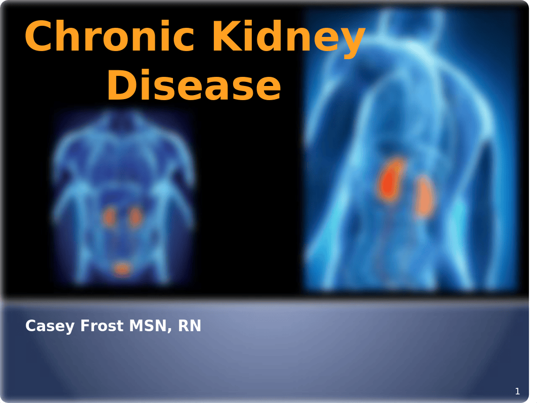 Chronic Kidney Disease w-NOTES.pptx_dynjzrblhpb_page1