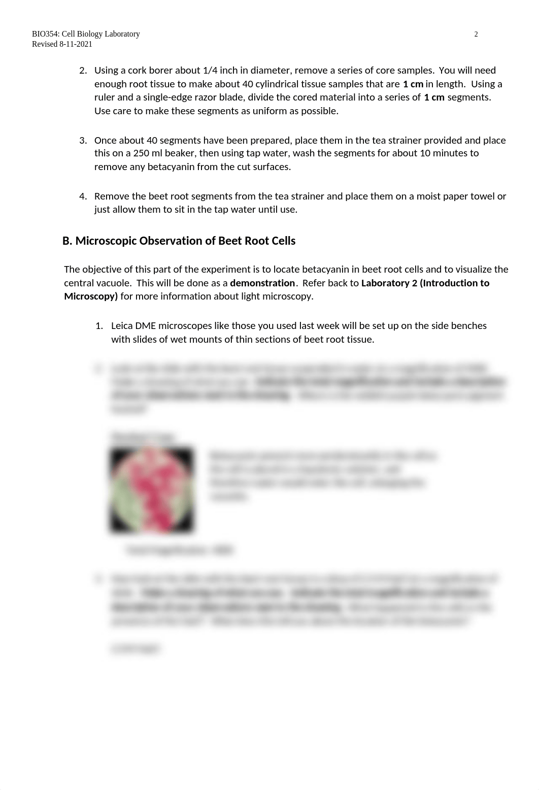 Lab 3 - Spectrophotometric Analysis of Membrane Stability.docx_dynmpkf50aq_page2