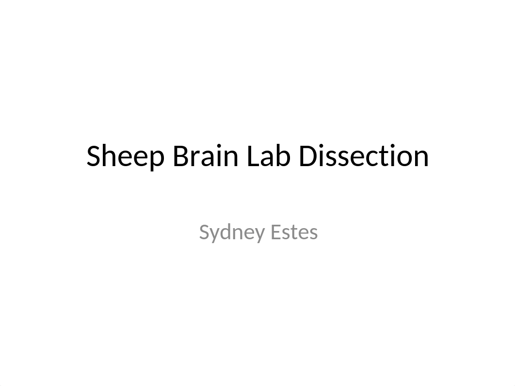 Sheep Brain dissection-Sydney Estes.pptx_dynqnt5es6g_page1