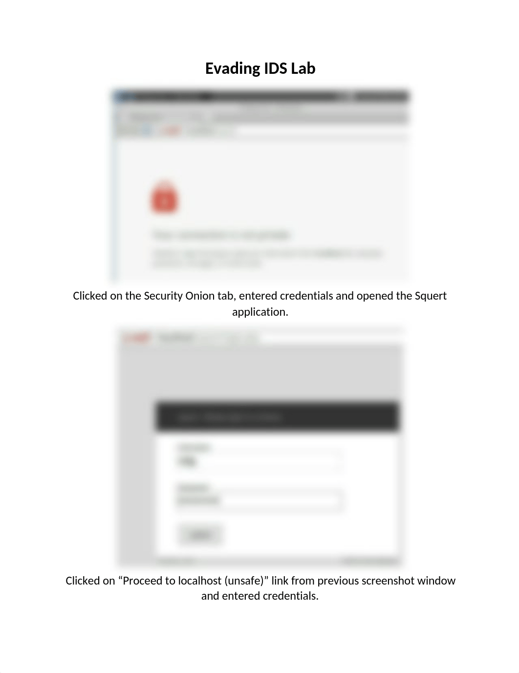 Evading IDS Lab.docx_dynrzums2qa_page1