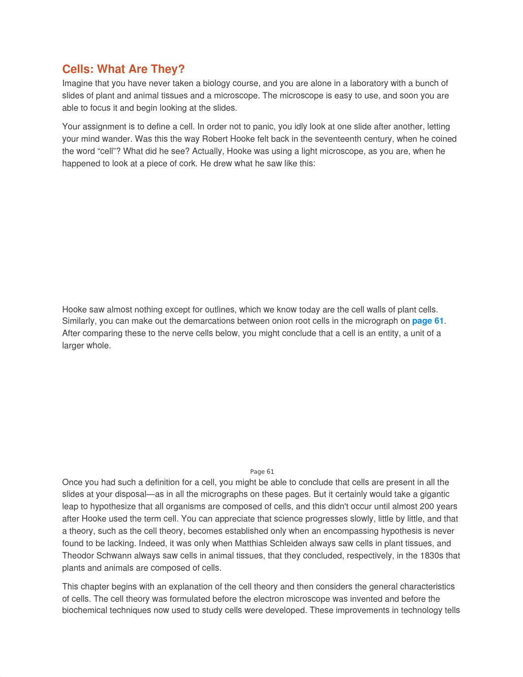 Chapter 4 - The Structure and Functions of Cells.docx_dynsl3djzeq_page2