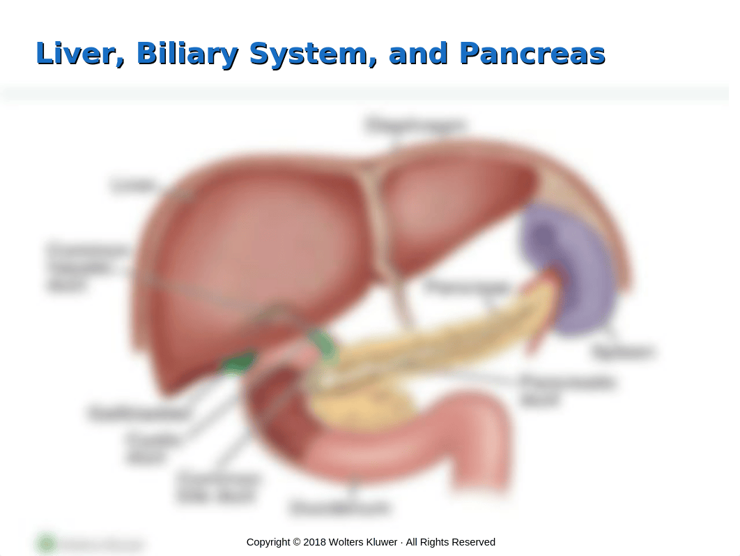 Chapter 50 Assessment and Management of Patients With Biliary Disorders.ppt_dynzgxjnhof_page3