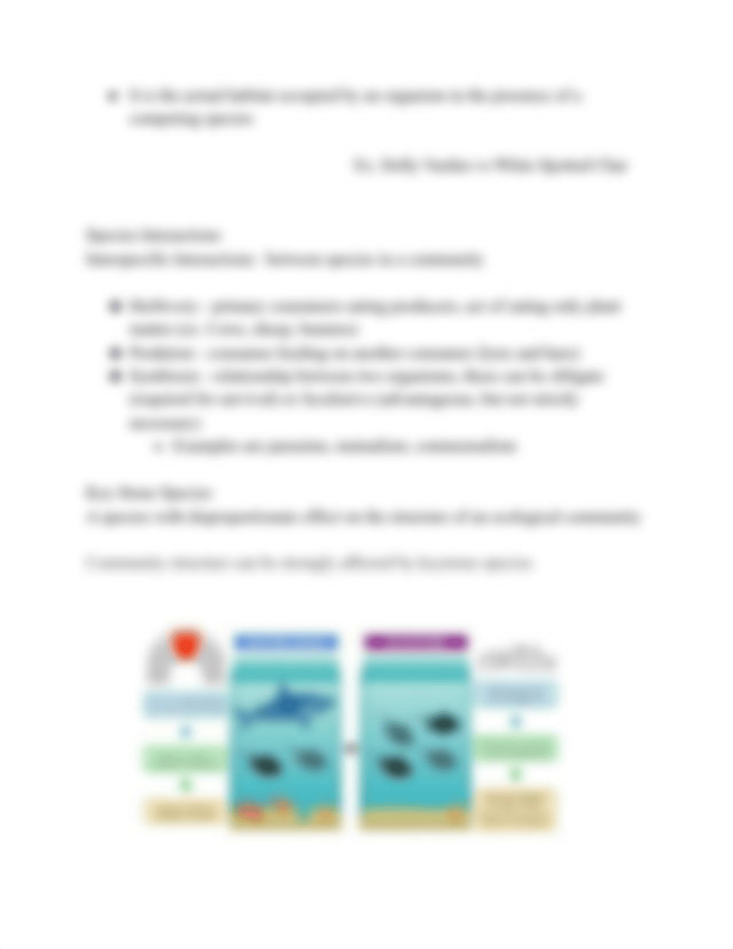 Ecology Study Guide.pdf_dyo1o9x0zm2_page3