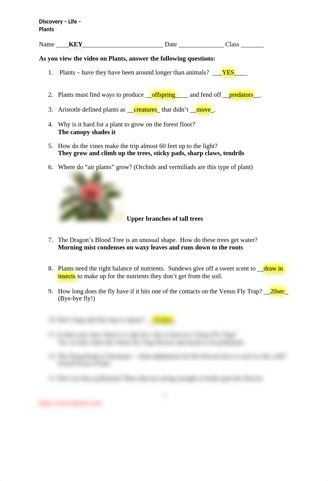 DiscoveryLifePlantsKEY.docx_dyo6uy31ypv_page1