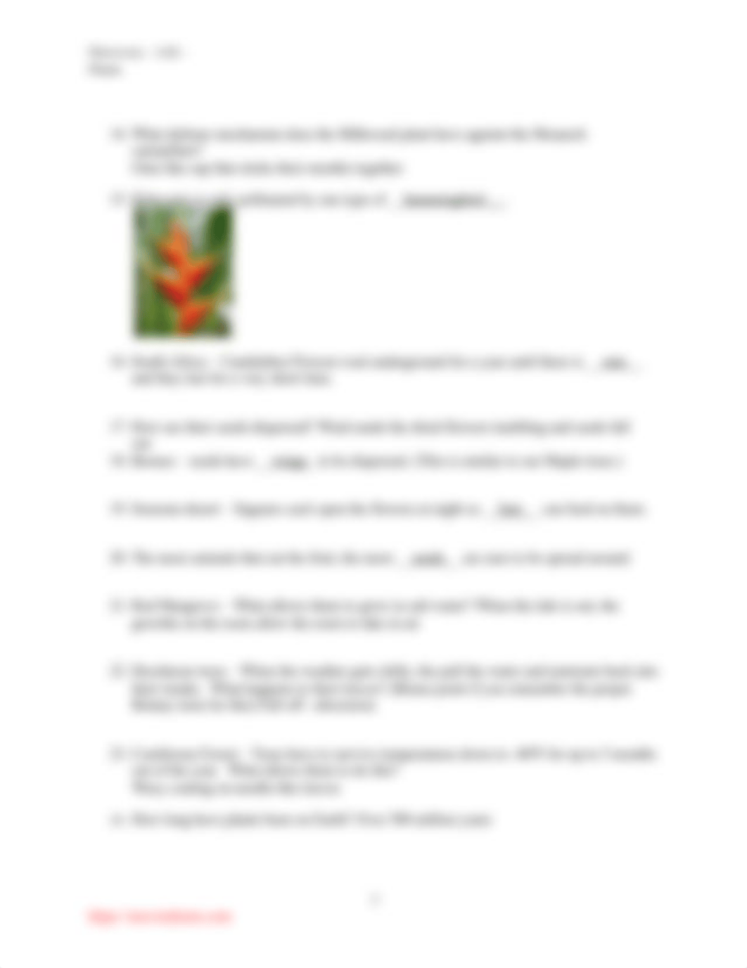 DiscoveryLifePlantsKEY.docx_dyo6uy31ypv_page2