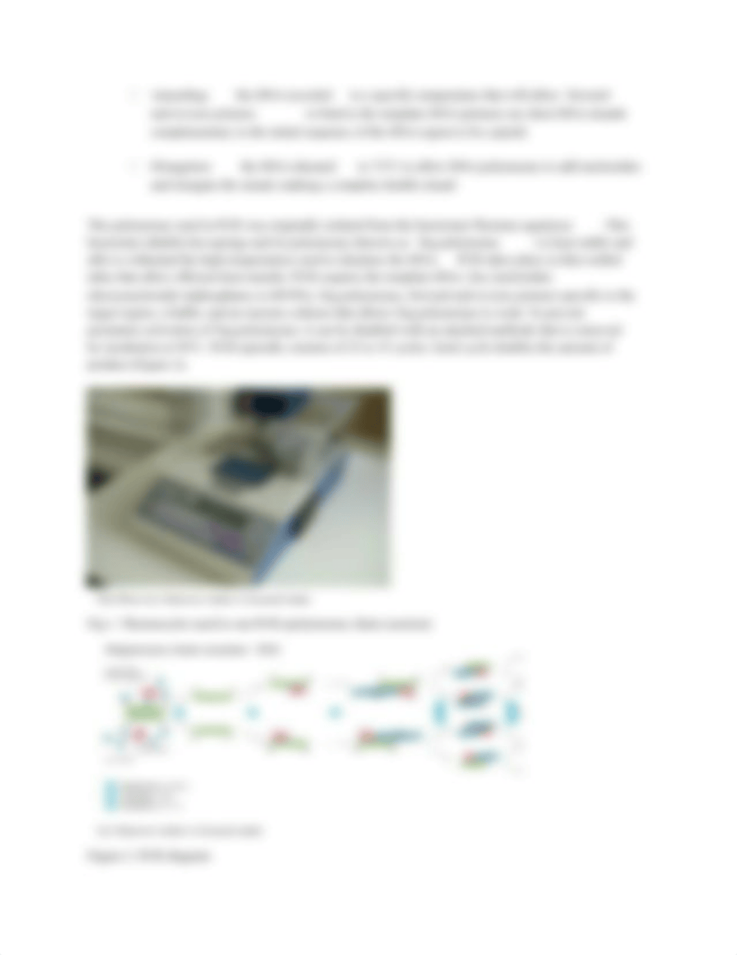 Virtual Lab 1 - virtual DNA extraction and gel electrophoresis (1).docx_dyomgcer25e_page2