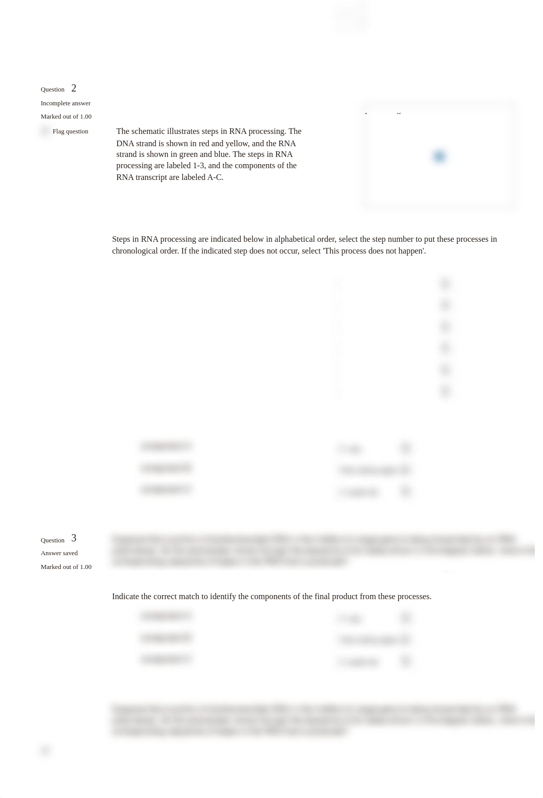 Problem Set 10.pdf_dyoxnvuqzko_page1