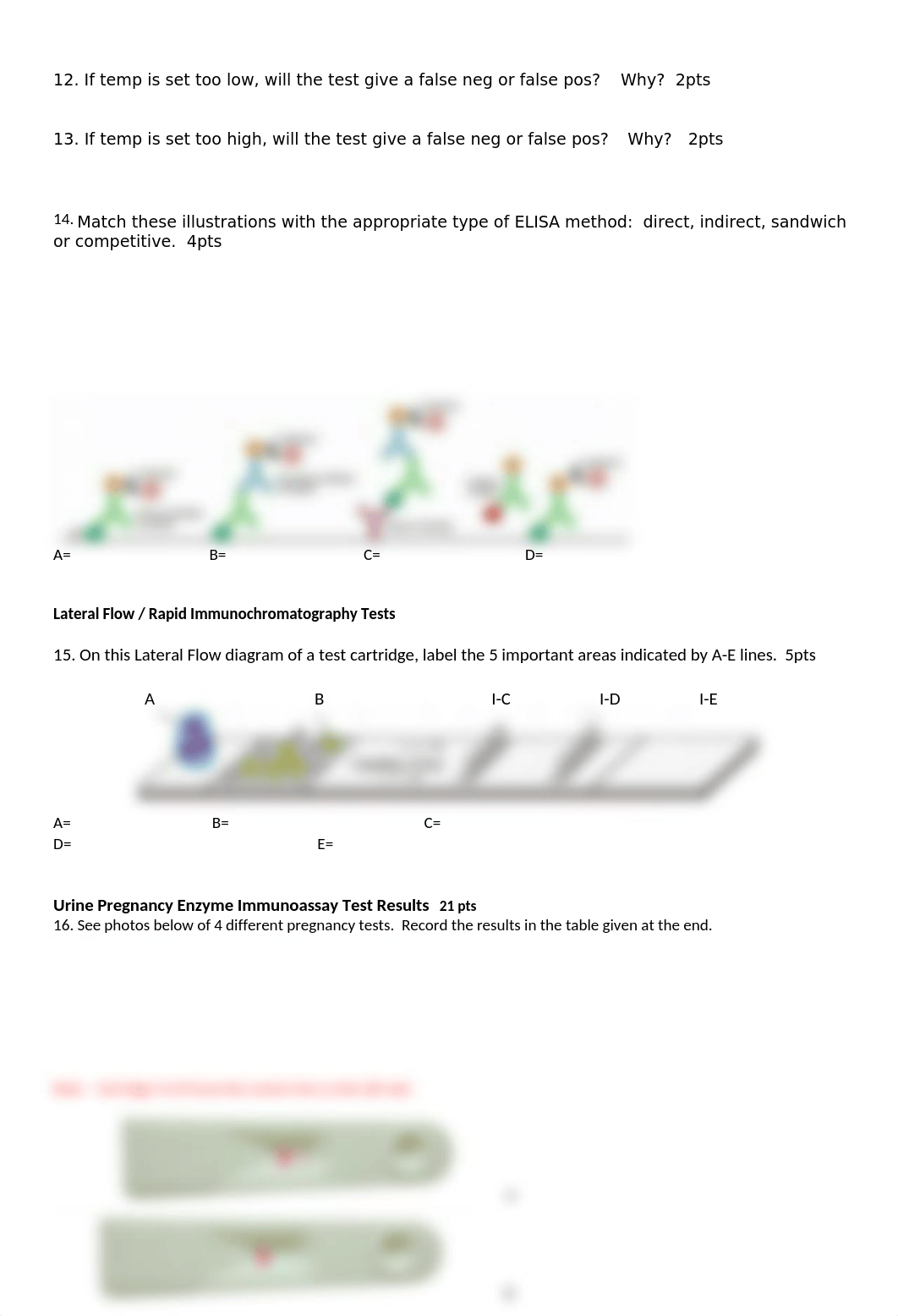 MT 340 Lab Comp 2.docx_dyoxq5ytxg6_page3