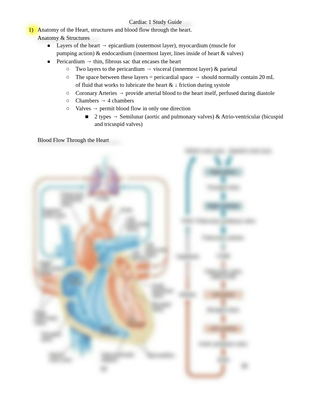 Cardiac 1 Study Guide.pdf_dyp9cyfak8e_page1