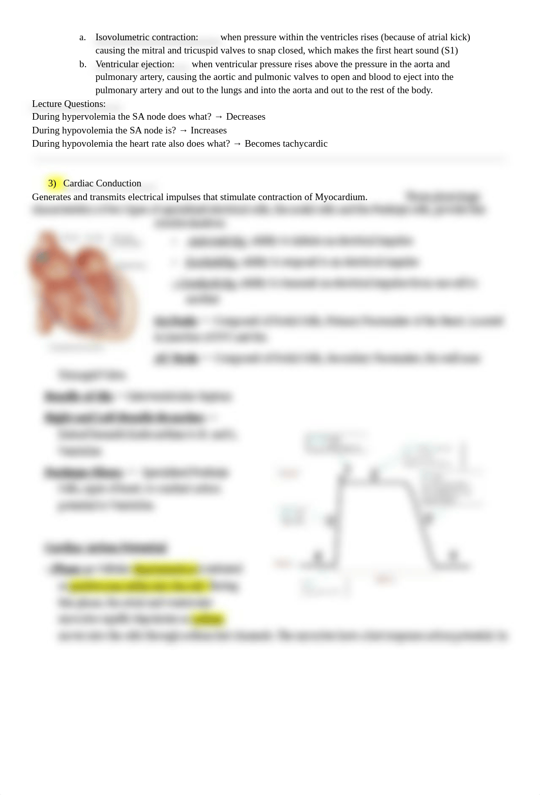 Cardiac 1 Study Guide.pdf_dyp9cyfak8e_page3