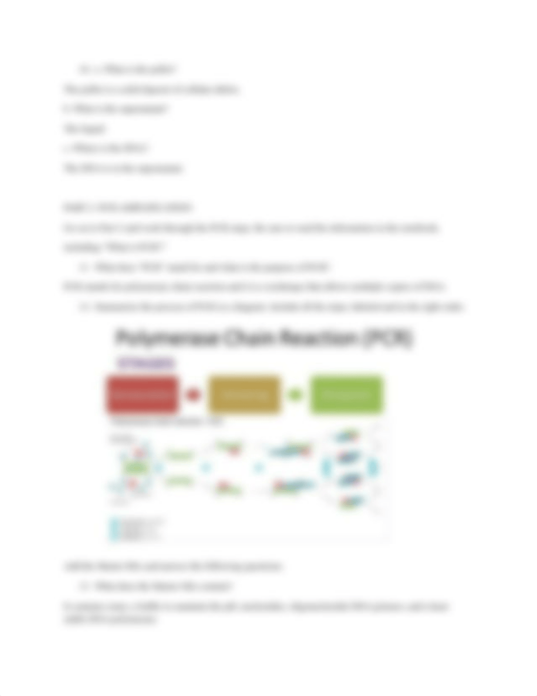 Bacterial Identification Lab.docx_dypa4lnn8k5_page2