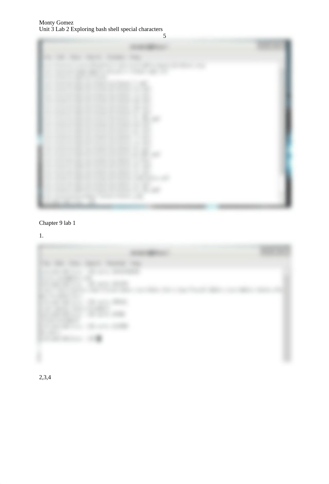 NT1430 Unit 3 Lab 2 Exploring bash shell special characters (1)_dypj8htq3xr_page5