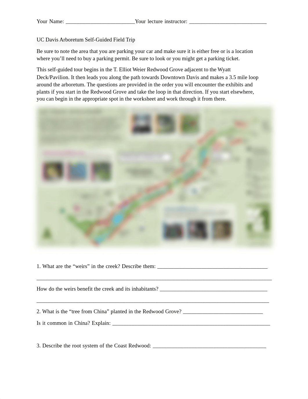 UC Davis Arboretum Worksheet Sp21.pdf_dypkvys3dqx_page1